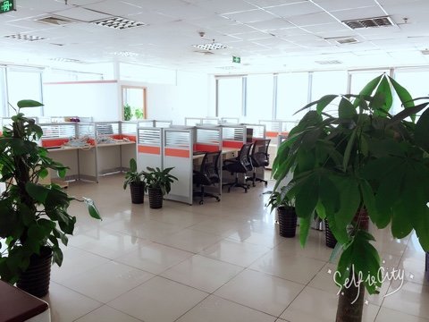 中介服務行業(yè)人事專員/助理核心職責與素養(yǎng)解析